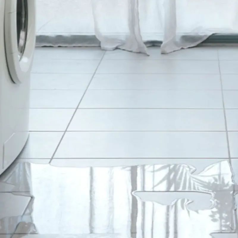 Appliance Leak Cleanup in Gainesville, TX