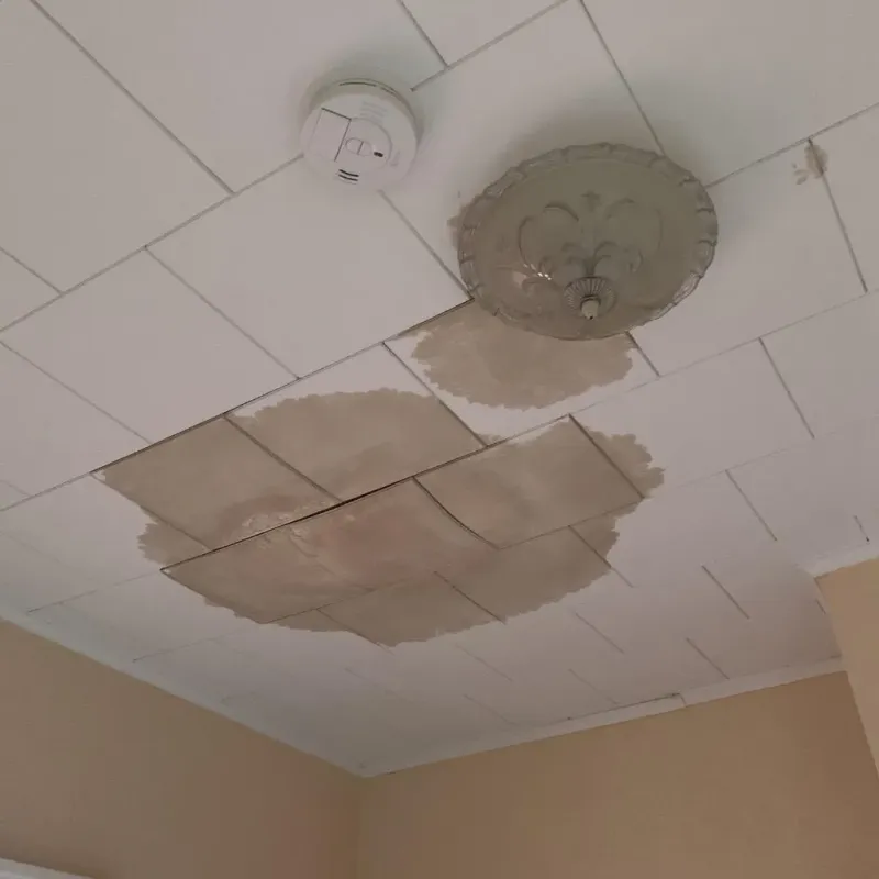 Ceiling Water Damage Repair in Gainesville, TX