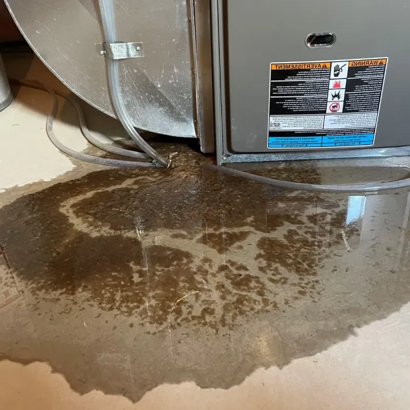 Pipe Burst and Leak Restoration in Gainesville, TX