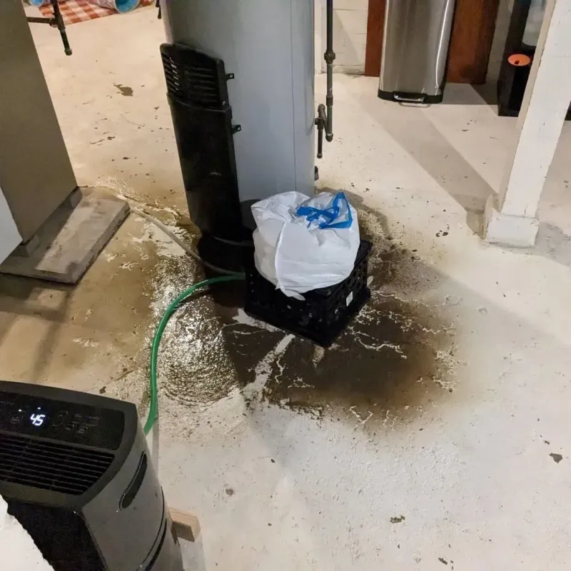 Sewage Backup Cleanup Service in Gainesville, TX